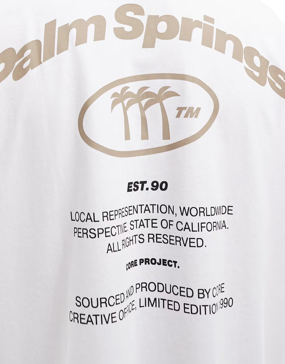 Oversized Palm Springs T-shirt - Heavy 250 GSM Cotton
