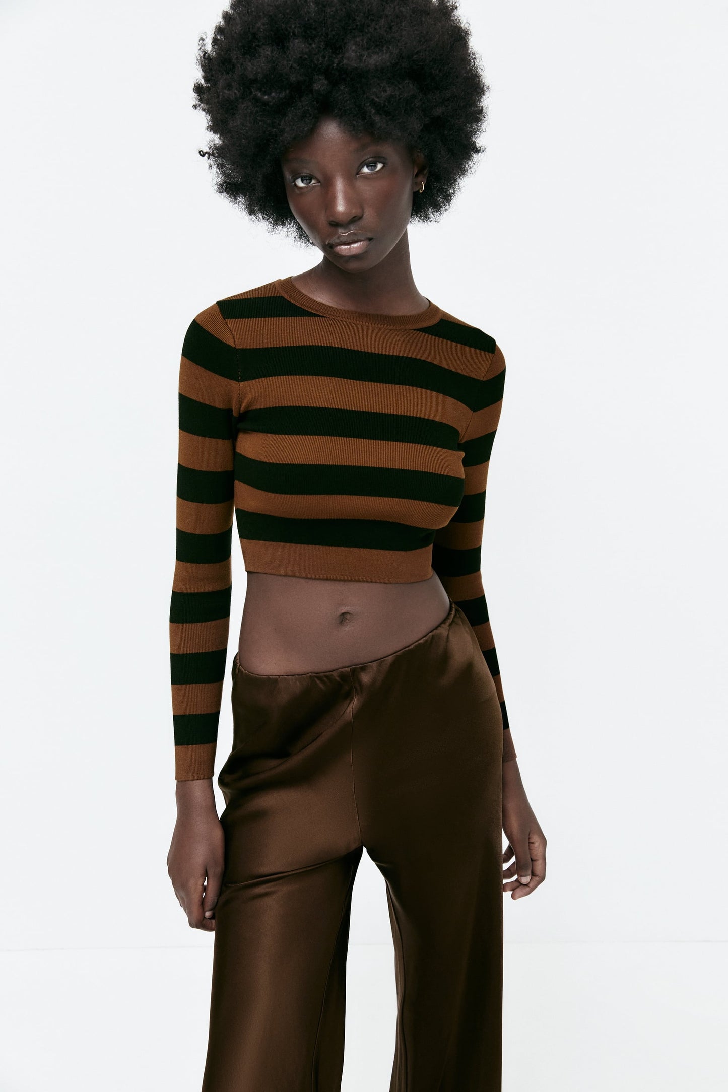 Women Dark Brown Striped Cropped Knit Sweater