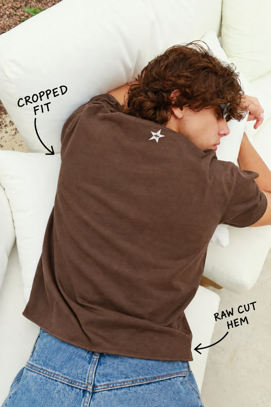 Perfectly Cropped Brown T-shirt