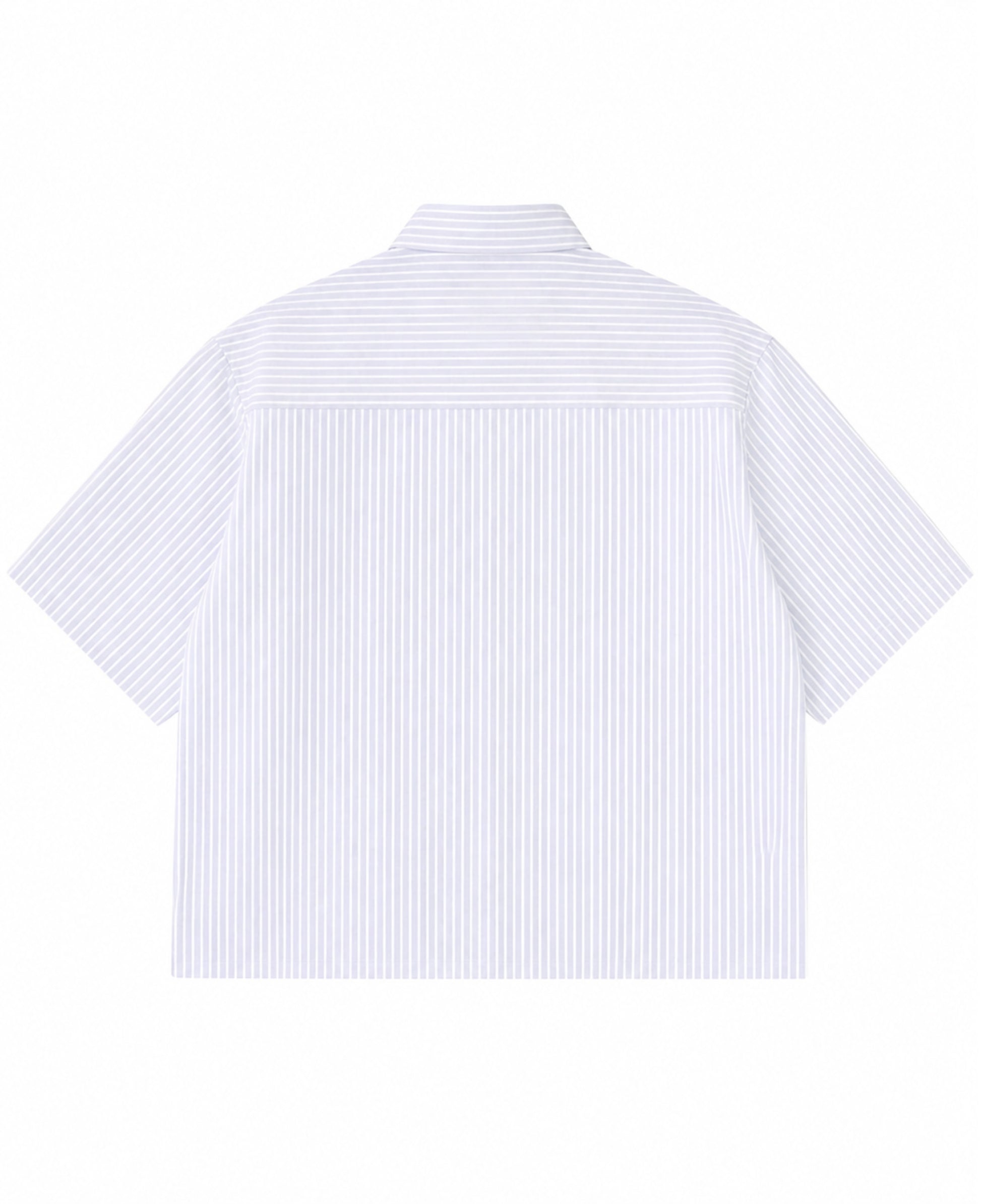 Blue Striped Oxford Boxy Shirt Back Design