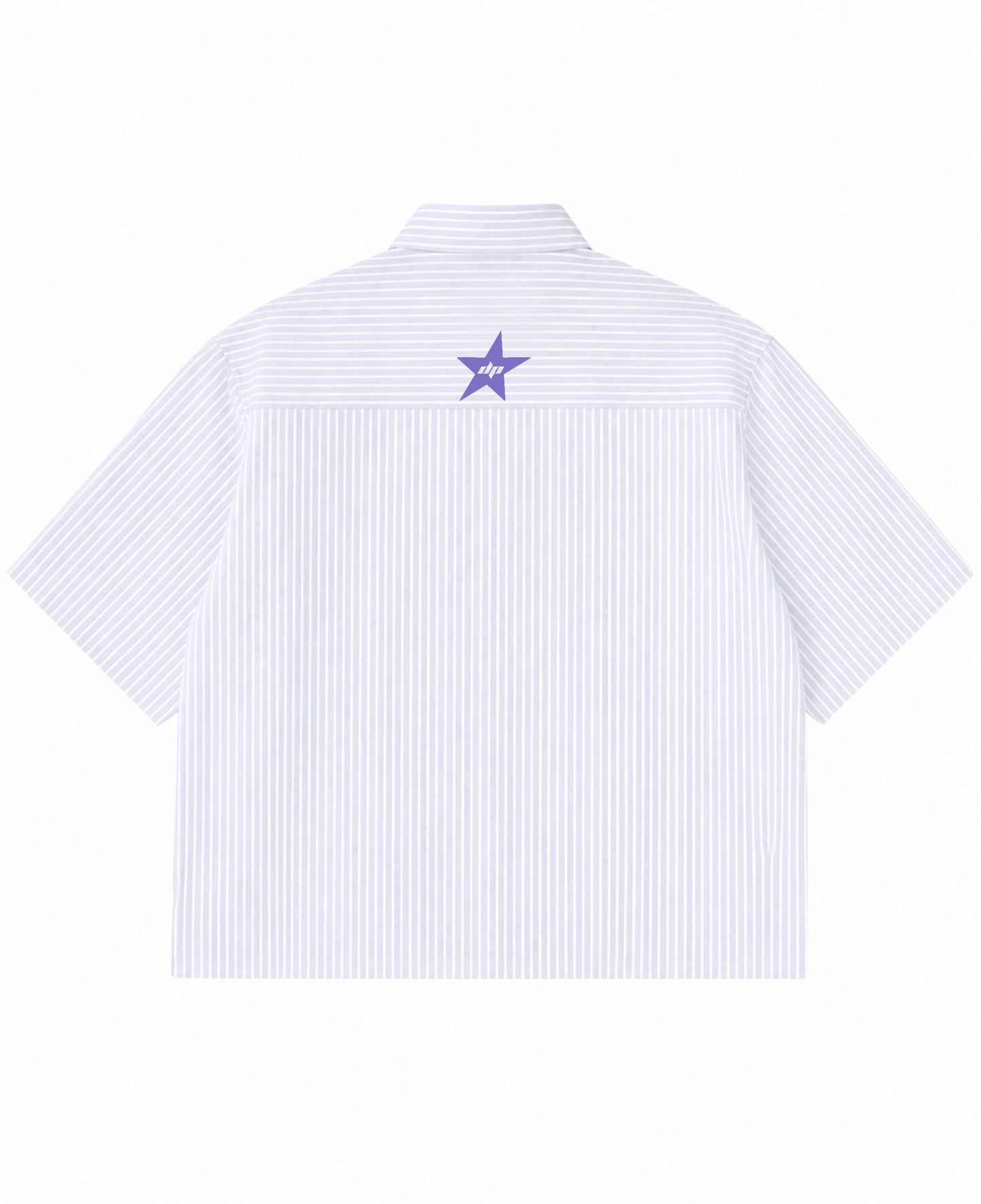 Blue Striped Oxford Boxy Shirt Back Design