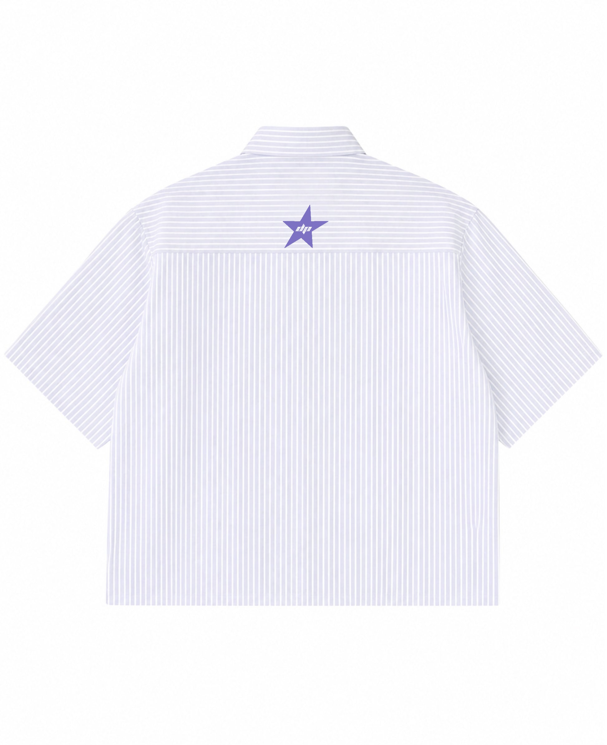 Blue Striped Oxford Boxy Shirt Back Design