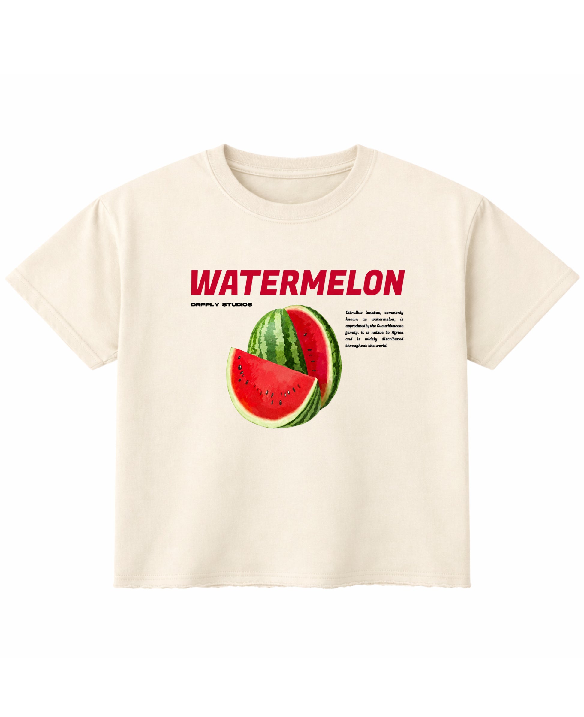 Off White Boxy Fit T-shirt Front Design