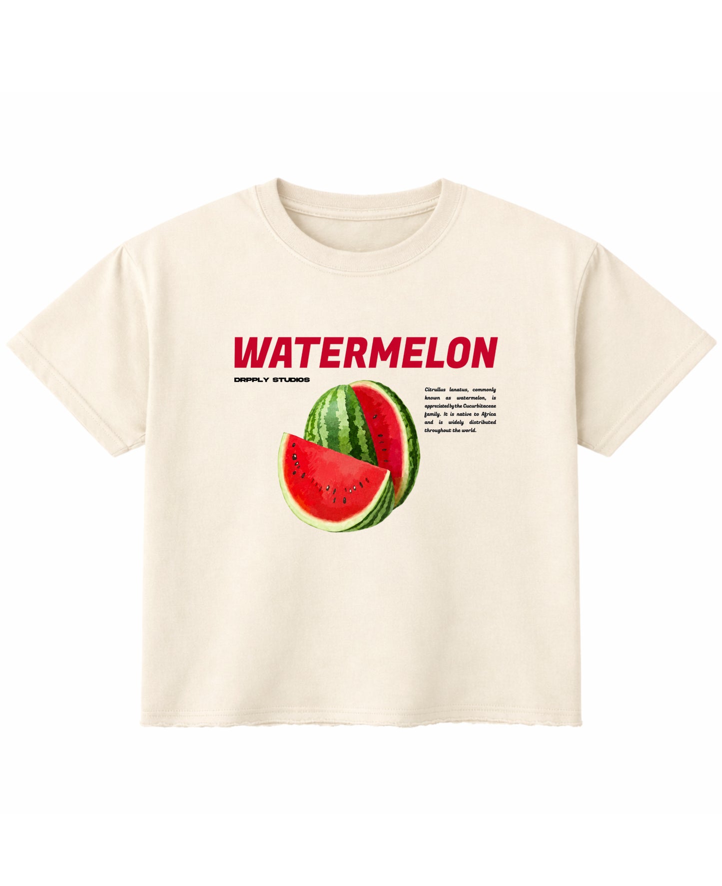 Off White Boxy Fit T-shirt Front Design